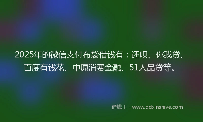 2025年的微信支付布袋借钱有：还呗、你我贷、百度有钱花、中原消费金融、51人品贷等。