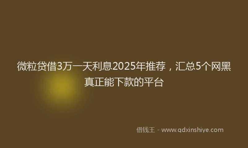 微粒贷借3万一天利息2025年推荐，汇总5个网黑真正能下款的平台