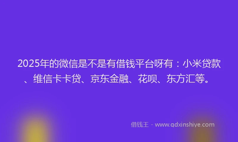 2025年的微信是不是有借钱平台呀有：小米贷款、维信卡卡贷、京东金融、花呗、东方汇等。