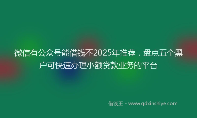 微信有公众号能借钱不2025年推荐，盘点五个黑户可快速办理小额贷款业务的平台