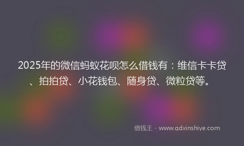 2025年的微信蚂蚁花呗怎么借钱有：维信卡卡贷、拍拍贷、小花钱包、随身贷、微粒贷等。