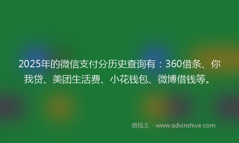 2025年的微信支付分历史查询有：360借条、你我贷、美团生活费、小花钱包、微博借钱等。