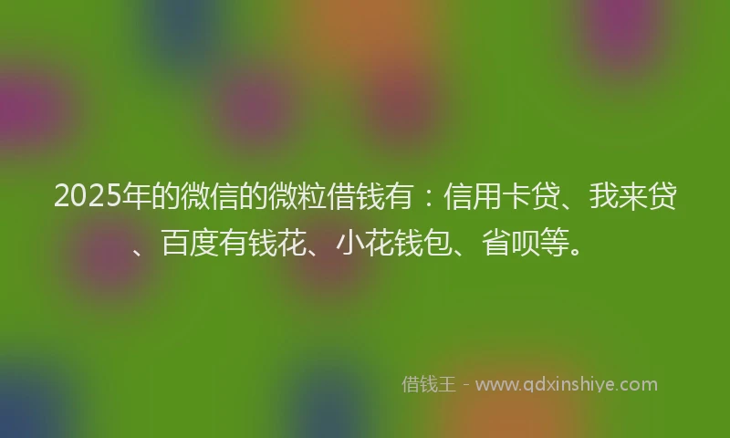 2025年的微信的微粒借钱有：信用卡贷、我来贷、百度有钱花、小花钱包、省呗等。
