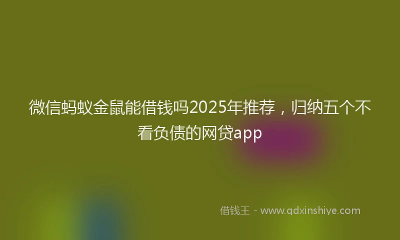 微信蚂蚁金鼠能借钱吗2025年推荐，归纳五个不看负债的网贷app