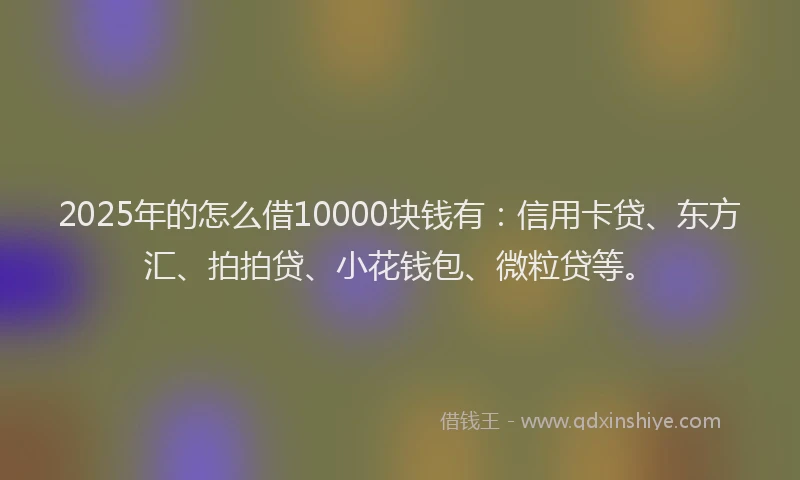 2025年的怎么借10000块钱有：信用卡贷、东方汇、拍拍贷、小花钱包、微粒贷等。