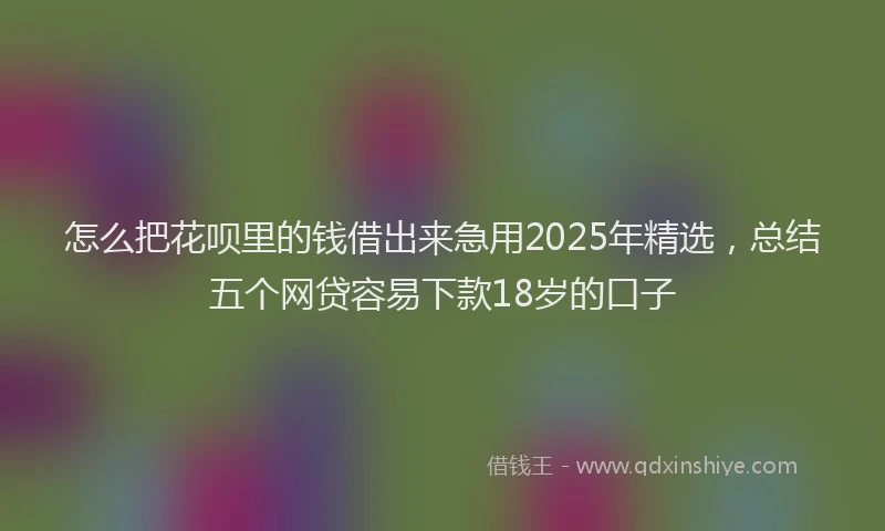 怎么把花呗里的钱借出来急用2025年精选，总结五个网贷容易下款18岁的口子