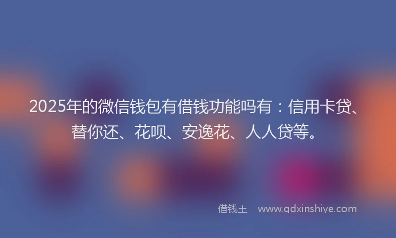 2025年的微信钱包有借钱功能吗有：信用卡贷、替你还、花呗、安逸花、人人贷等。
