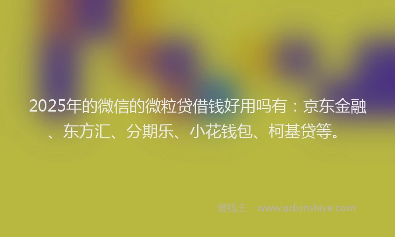 2025年的微信的微粒贷借钱好用吗有：京东金融、东方汇、分期乐、小花钱包、柯基贷等。
