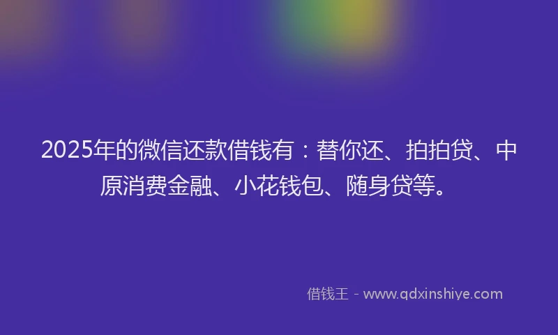 2025年的微信还款借钱有：替你还、拍拍贷、中原消费金融、小花钱包、随身贷等。