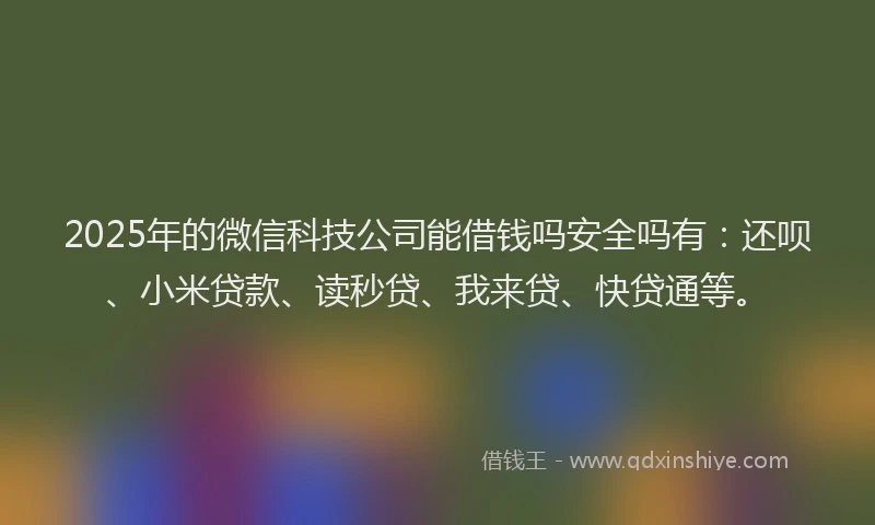 2025年的微信科技公司能借钱吗安全吗有：还呗、小米贷款、读秒贷、我来贷、快贷通等。