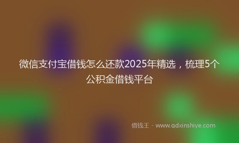 微信支付宝借钱怎么还款2025年精选，梳理5个公积金借钱平台