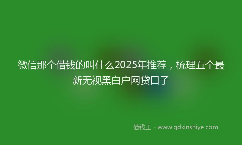 微信那个借钱的叫什么2025年推荐，梳理五个最新无视黑白户网贷口子
