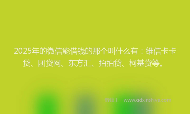 2025年的微信能借钱的那个叫什么有：维信卡卡贷、团贷网、东方汇、拍拍贷、柯基贷等。