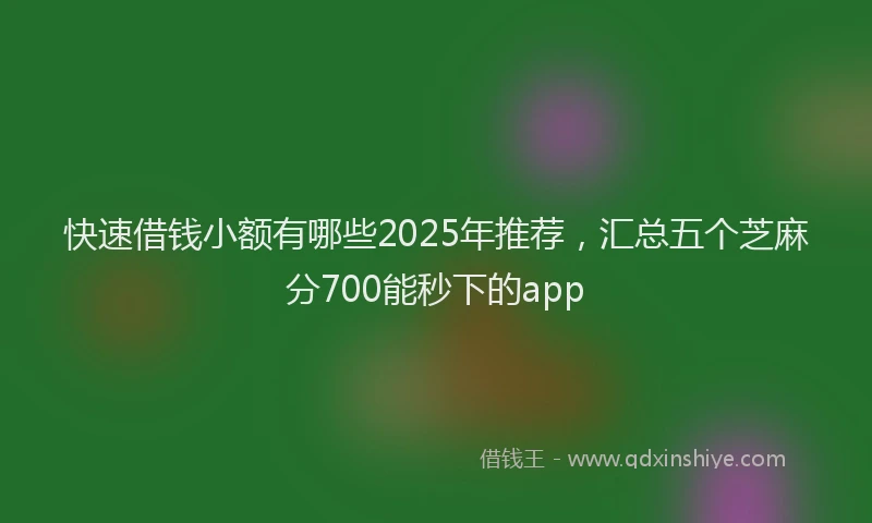 快速借钱小额有哪些2025年推荐，汇总五个芝麻分700能秒下的app