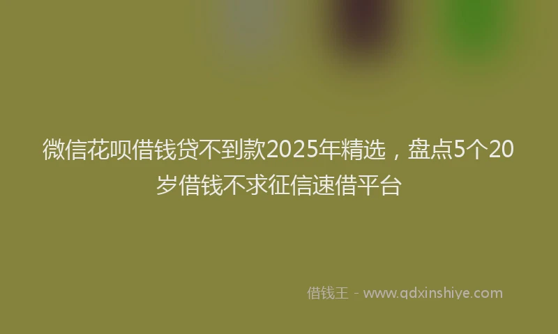 微信花呗借钱贷不到款2025年精选，盘点5个20岁借钱不求征信速借平台