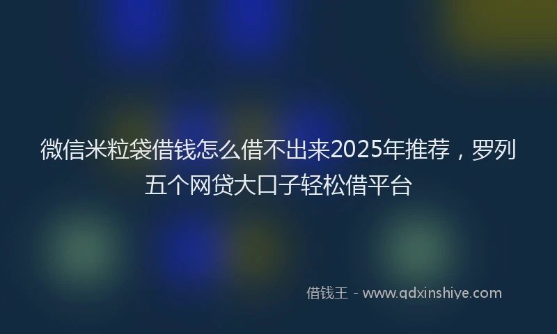 微信米粒袋借钱怎么借不出来2025年推荐，罗列五个网贷大口子轻松借平台