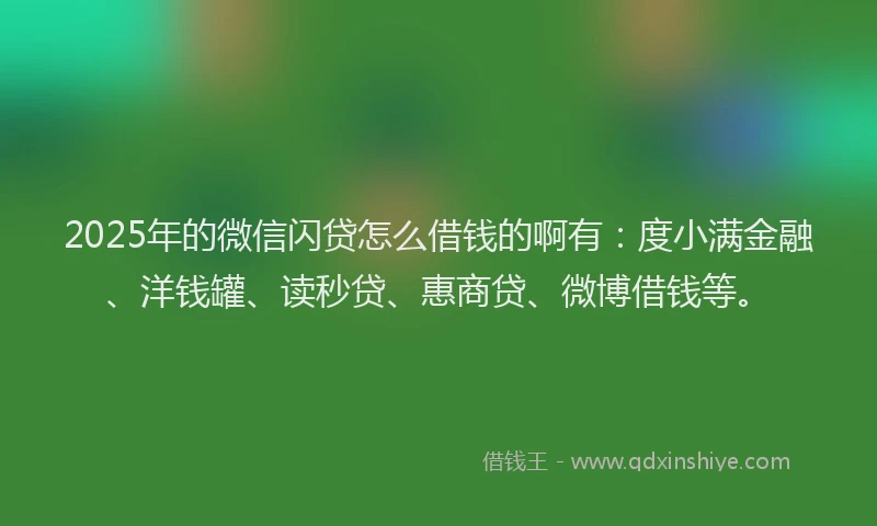 2025年的微信闪贷怎么借钱的啊有：度小满金融、洋钱罐、读秒贷、惠商贷、微博借钱等。