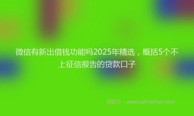 微信有新出借钱功能吗2025年精选，概括5个不上征信报告的贷款口子