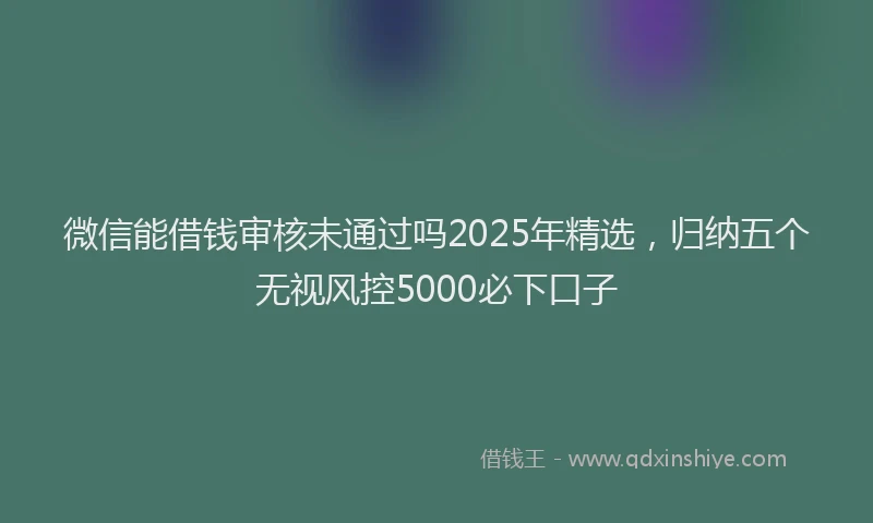 微信能借钱审核未通过吗2025年精选，归纳五个无视风控5000必下口子