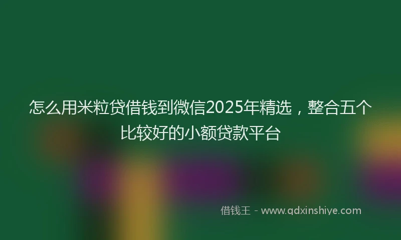 怎么用米粒贷借钱到微信2025年精选，整合五个比较好的小额贷款平台