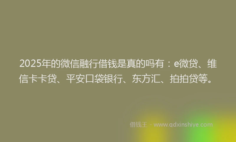 2025年的微信融行借钱是真的吗有：e微贷、维信卡卡贷、平安口袋银行、东方汇、拍拍贷等。