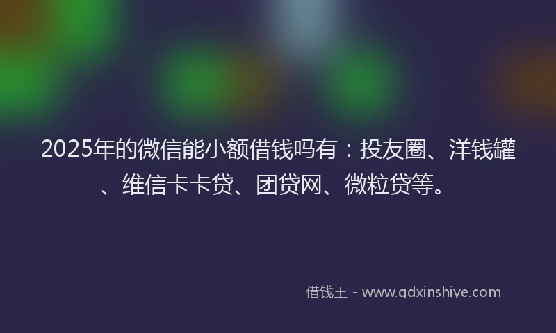 2025年的微信能小额借钱吗有：投友圈、洋钱罐、维信卡卡贷、团贷网、微粒贷等。