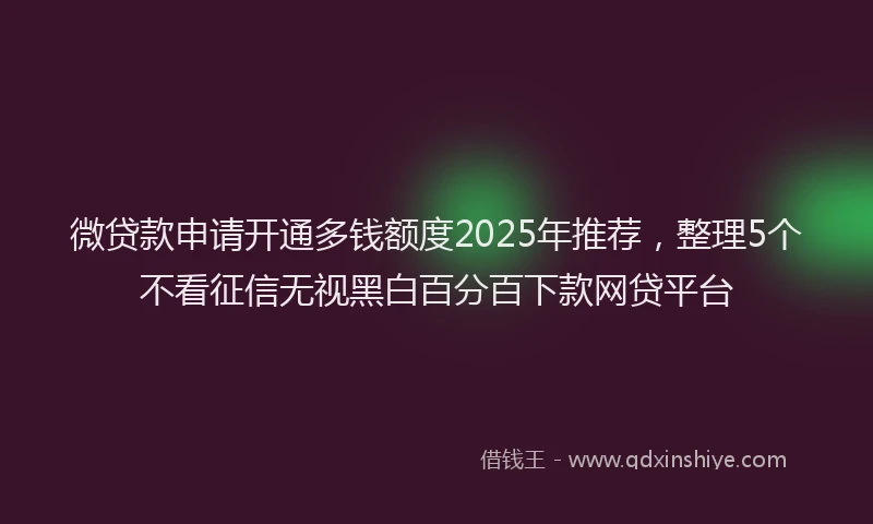 微贷款申请开通多钱额度2025年推荐，整理5个不看征信无视黑白百分百下款网贷平台