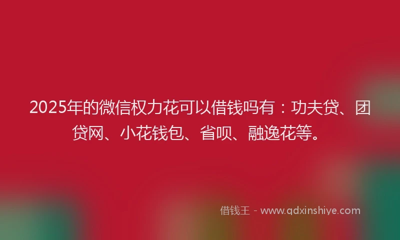 2025年的微信权力花可以借钱吗有：功夫贷、团贷网、小花钱包、省呗、融逸花等。