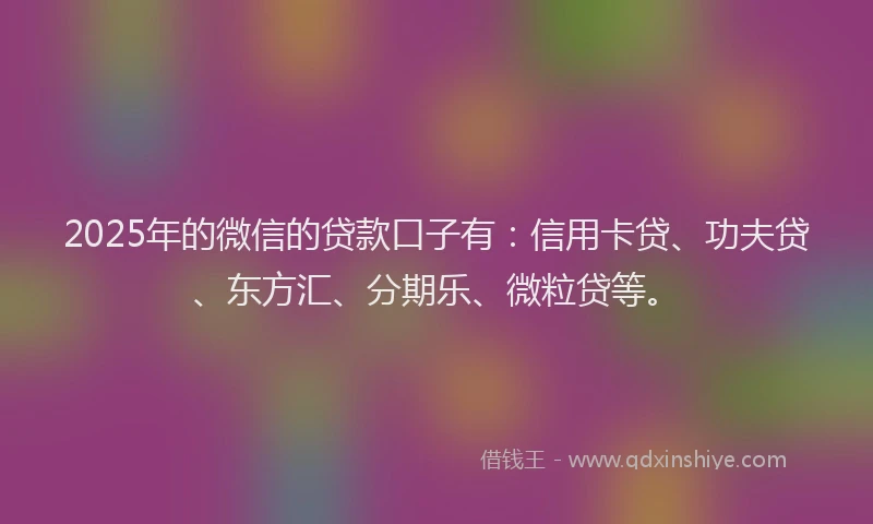 2025年的微信的贷款口子有：信用卡贷、功夫贷、东方汇、分期乐、微粒贷等。