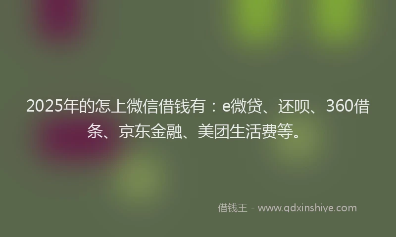 2025年的怎上微信借钱有：e微贷、还呗、360借条、京东金融、美团生活费等。