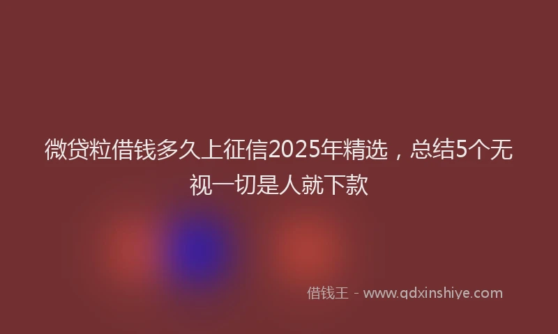 微贷粒借钱多久上征信2025年精选，总结5个无视一切是人就下款