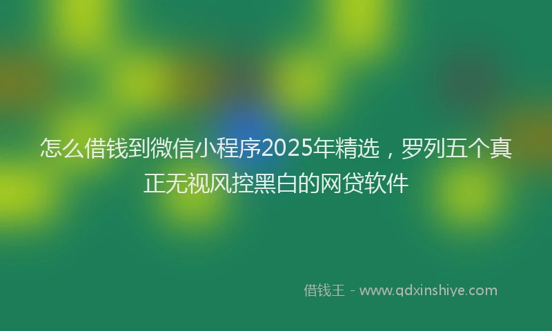 怎么借钱到微信小程序2025年精选，罗列五个真正无视风控黑白的网贷软件