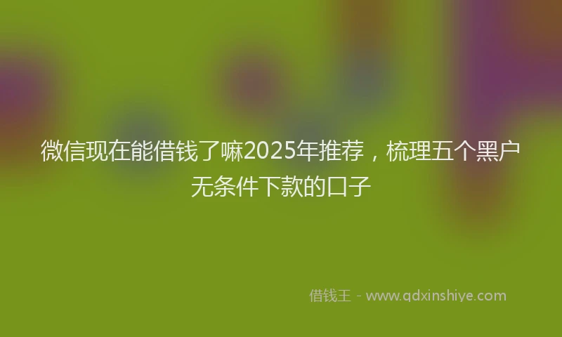 微信现在能借钱了嘛2025年推荐，梳理五个黑户无条件下款的口子