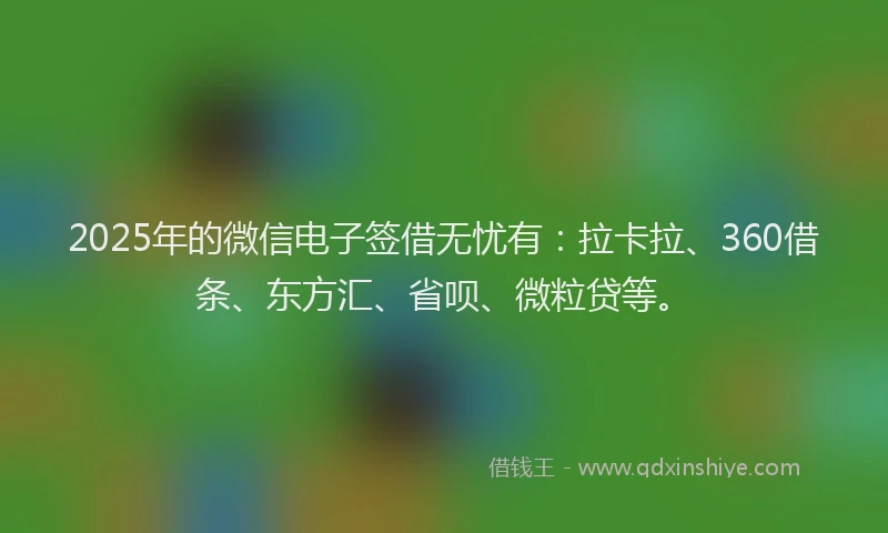 2025年的微信电子签借无忧有：拉卡拉、360借条、东方汇、省呗、微粒贷等。