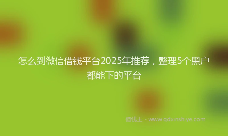 怎么到微信借钱平台2025年推荐，整理5个黑户都能下的平台