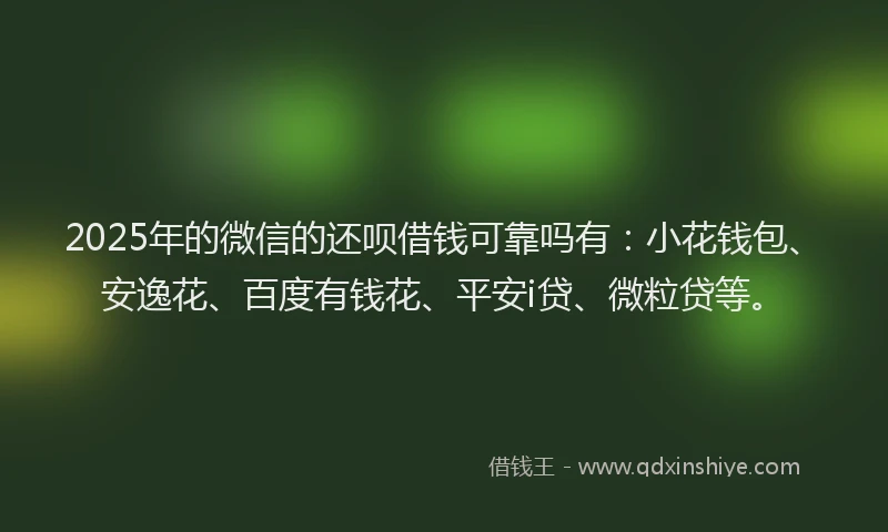 2025年的微信的还呗借钱可靠吗有：小花钱包、安逸花、百度有钱花、平安i贷、微粒贷等。
