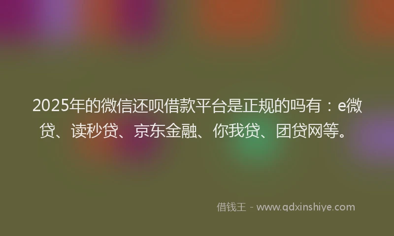 2025年的微信还呗借款平台是正规的吗有：e微贷、读秒贷、京东金融、你我贷、团贷网等。