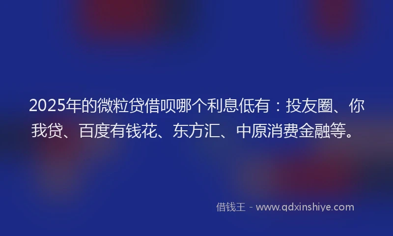 2025年的微粒贷借呗哪个利息低有：投友圈、你我贷、百度有钱花、东方汇、中原消费金融等。