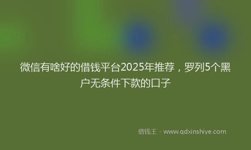 微信有啥好的借钱平台2025年推荐，罗列5个黑户无条件下款的口子