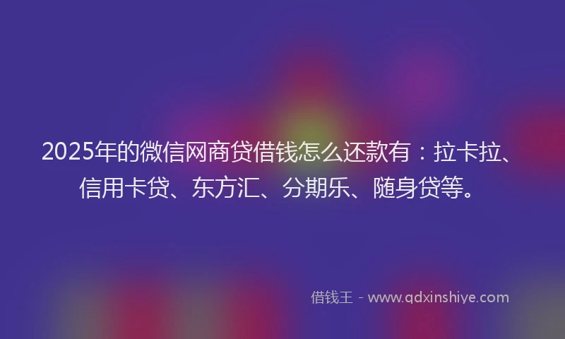 2025年的微信网商贷借钱怎么还款有：拉卡拉、信用卡贷、东方汇、分期乐、随身贷等。