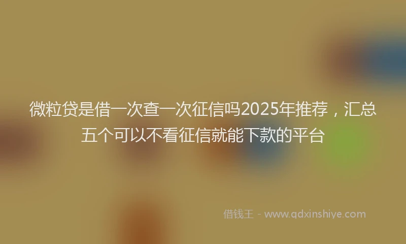 微粒贷是借一次查一次征信吗2025年推荐，汇总五个可以不看征信就能下款的平台