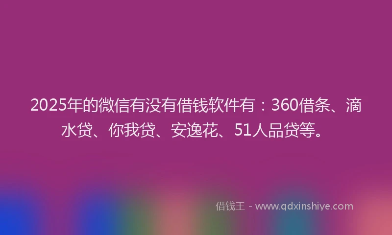 2025年的微信有没有借钱软件有：360借条、滴水贷、你我贷、安逸花、51人品贷等。