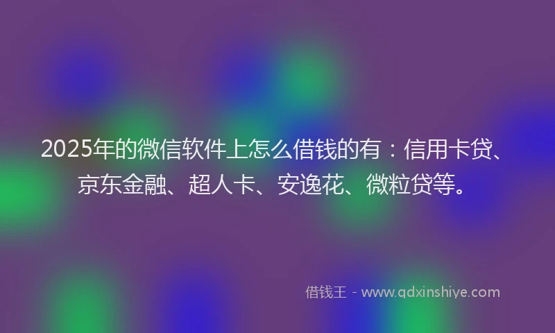 2025年的微信软件上怎么借钱的有：信用卡贷、京东金融、超人卡、安逸花、微粒贷等。