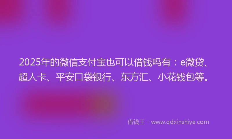 2025年的微信支付宝也可以借钱吗有：e微贷、超人卡、平安口袋银行、东方汇、小花钱包等。