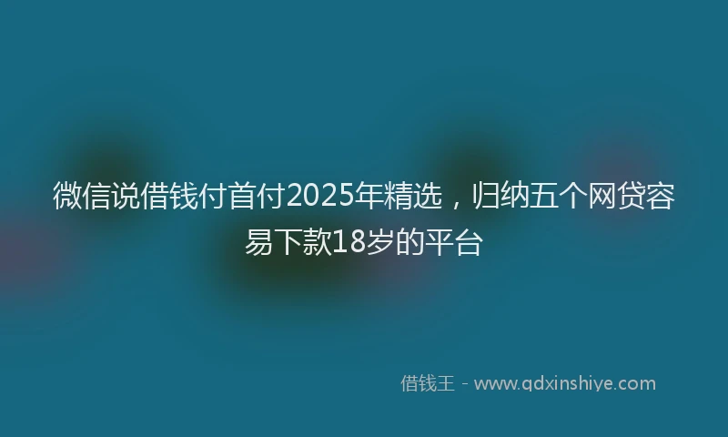 微信说借钱付首付2025年精选，归纳五个网贷容易下款18岁的平台