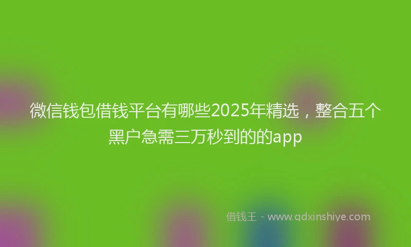 微信钱包借钱平台有哪些2025年精选，整合五个黑户急需三万秒到的的app