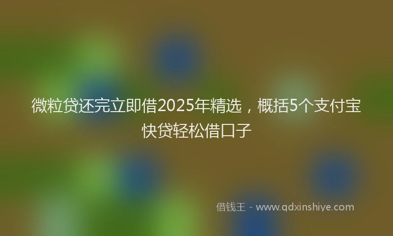 微粒贷还完立即借2025年精选，概括5个支付宝快贷轻松借口子