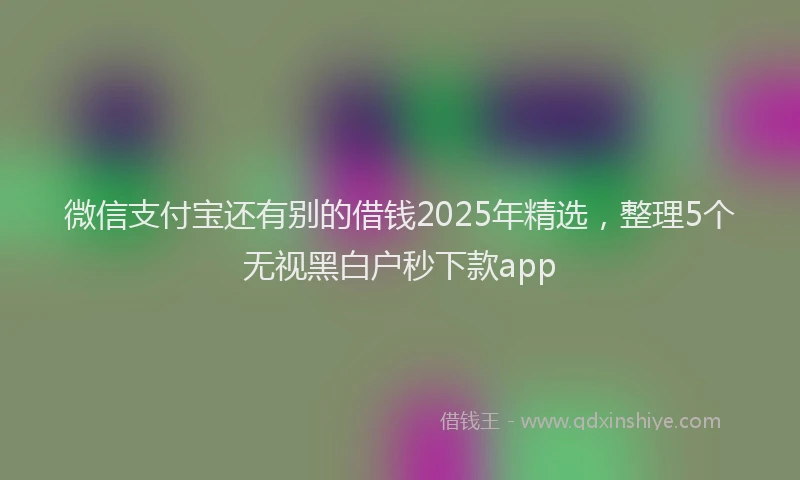 微信支付宝还有别的借钱2025年精选，整理5个无视黑白户秒下款app