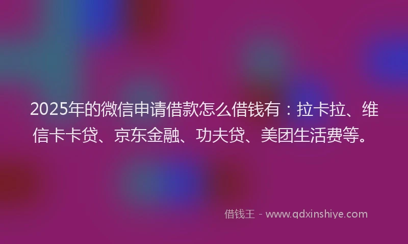 2025年的微信申请借款怎么借钱有：拉卡拉、维信卡卡贷、京东金融、功夫贷、美团生活费等。