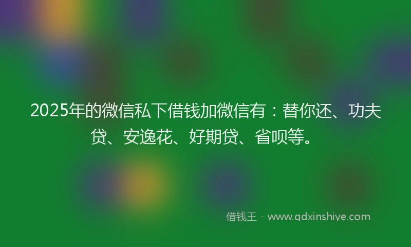 2025年的微信私下借钱加微信有：替你还、功夫贷、安逸花、好期贷、省呗等。
